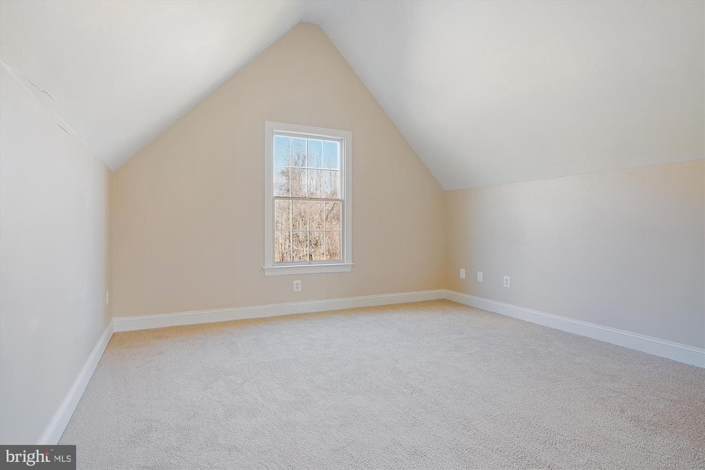139 Claiborne Fields Drive photo 41