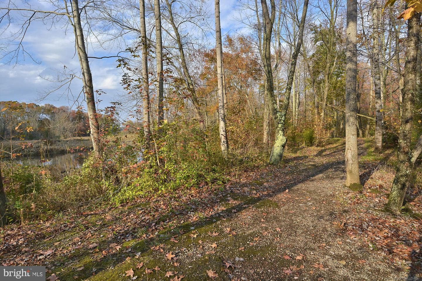 139 Claiborne Fields Drive photo 75