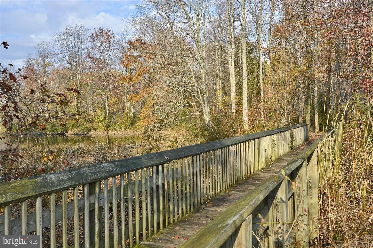 139 Claiborne Fields Drive photo 76