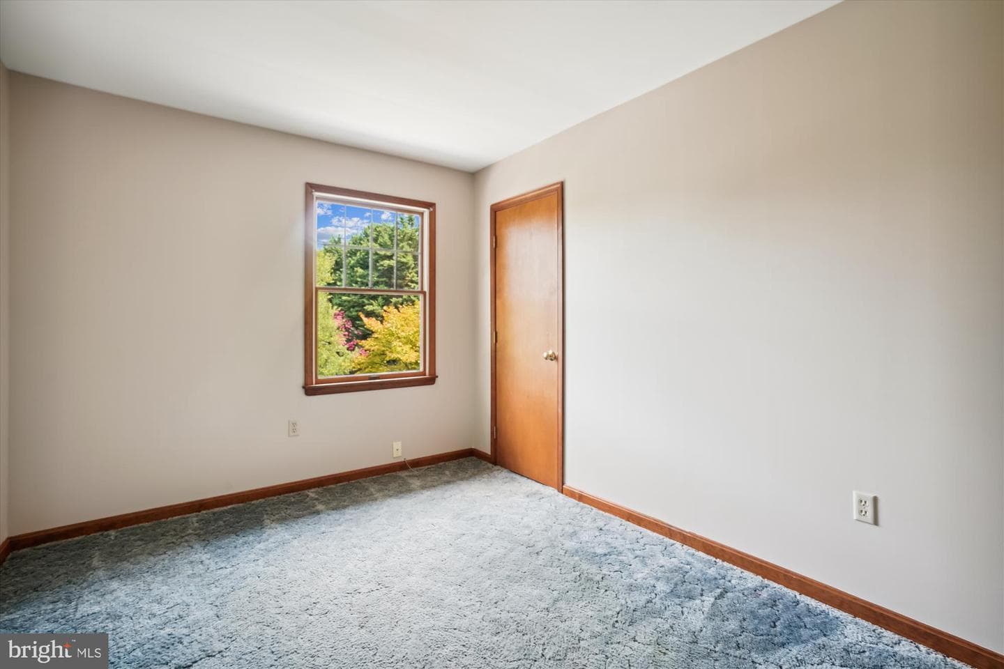 105 Coleman Drive photo 34