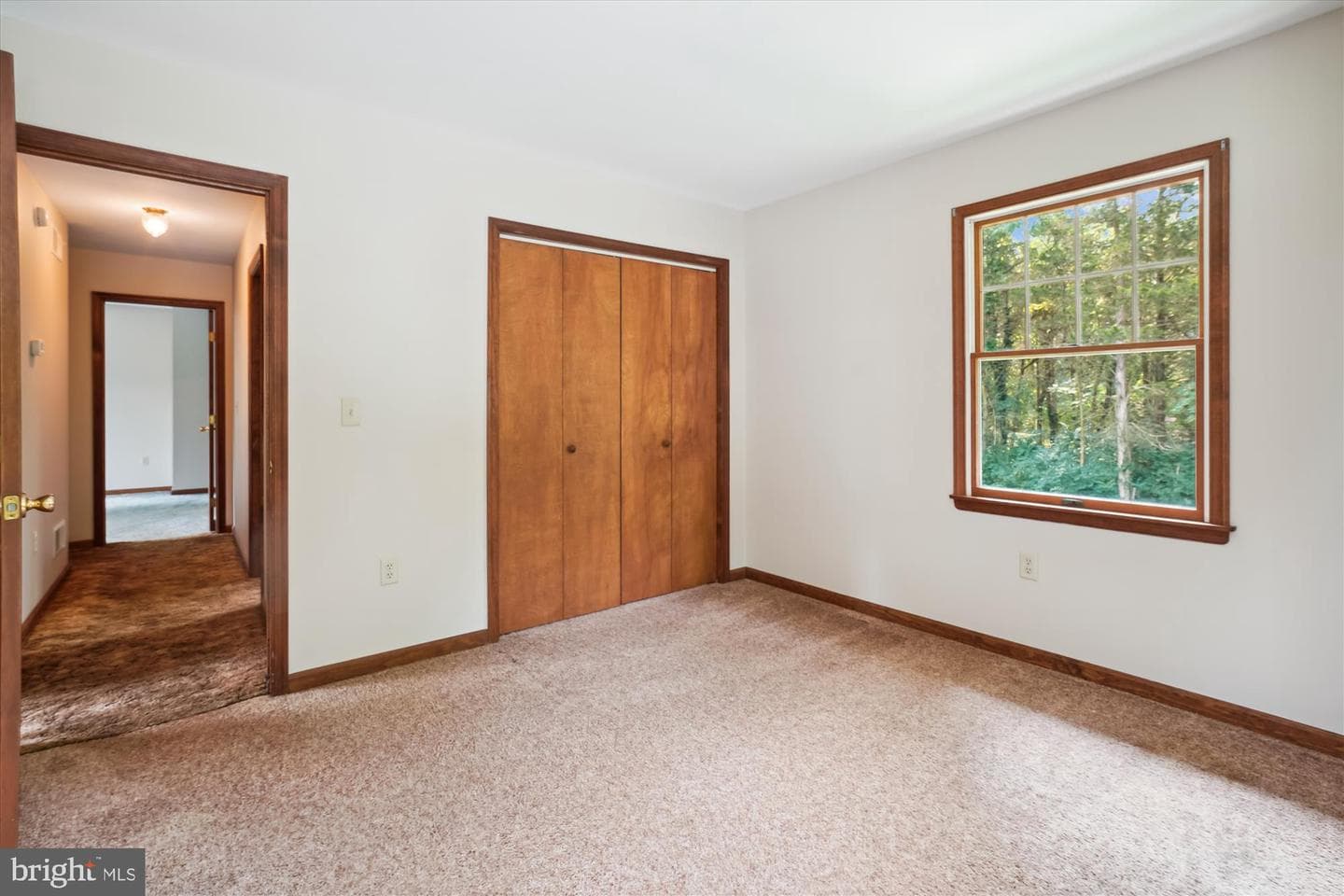 105 Coleman Drive photo 41