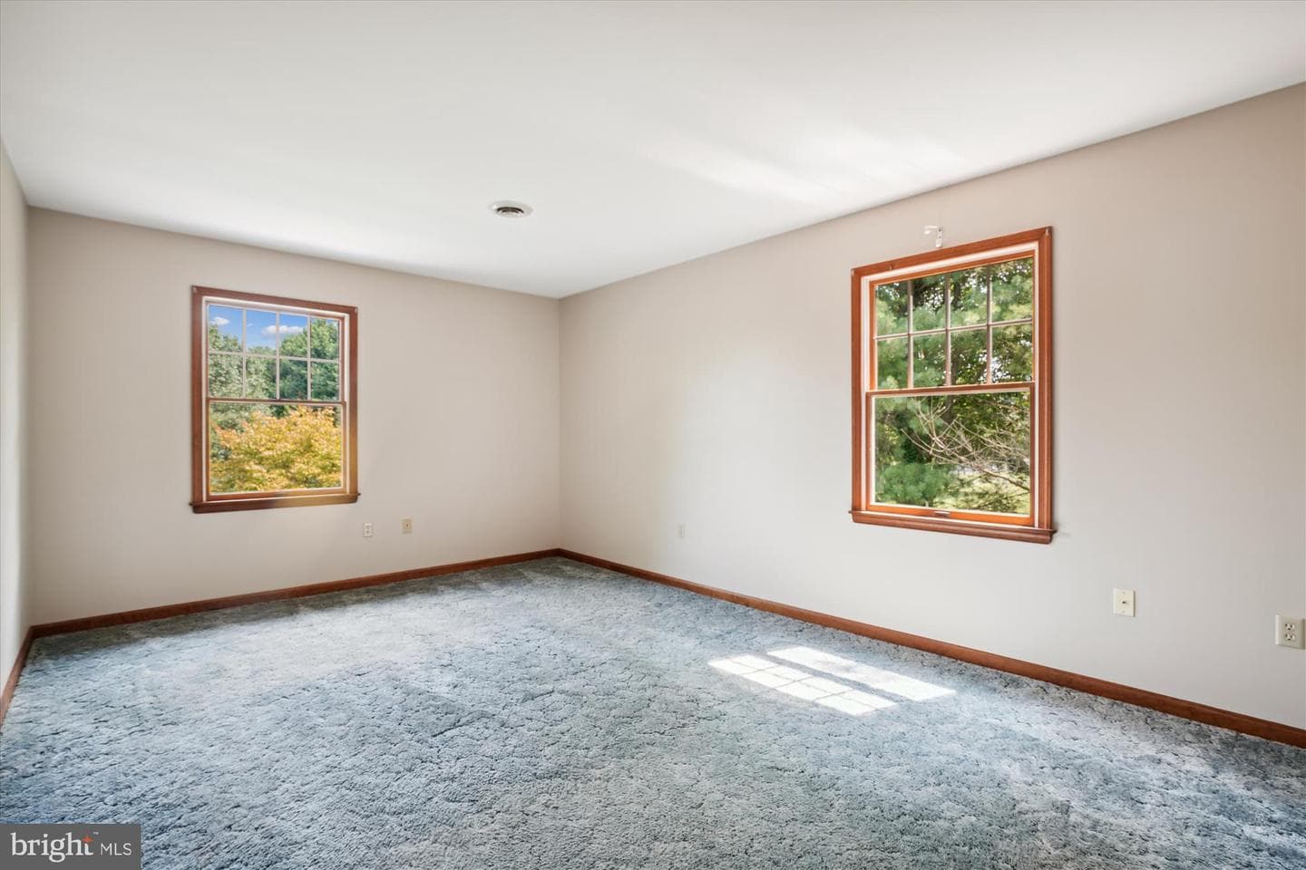 105 Coleman Drive photo 42