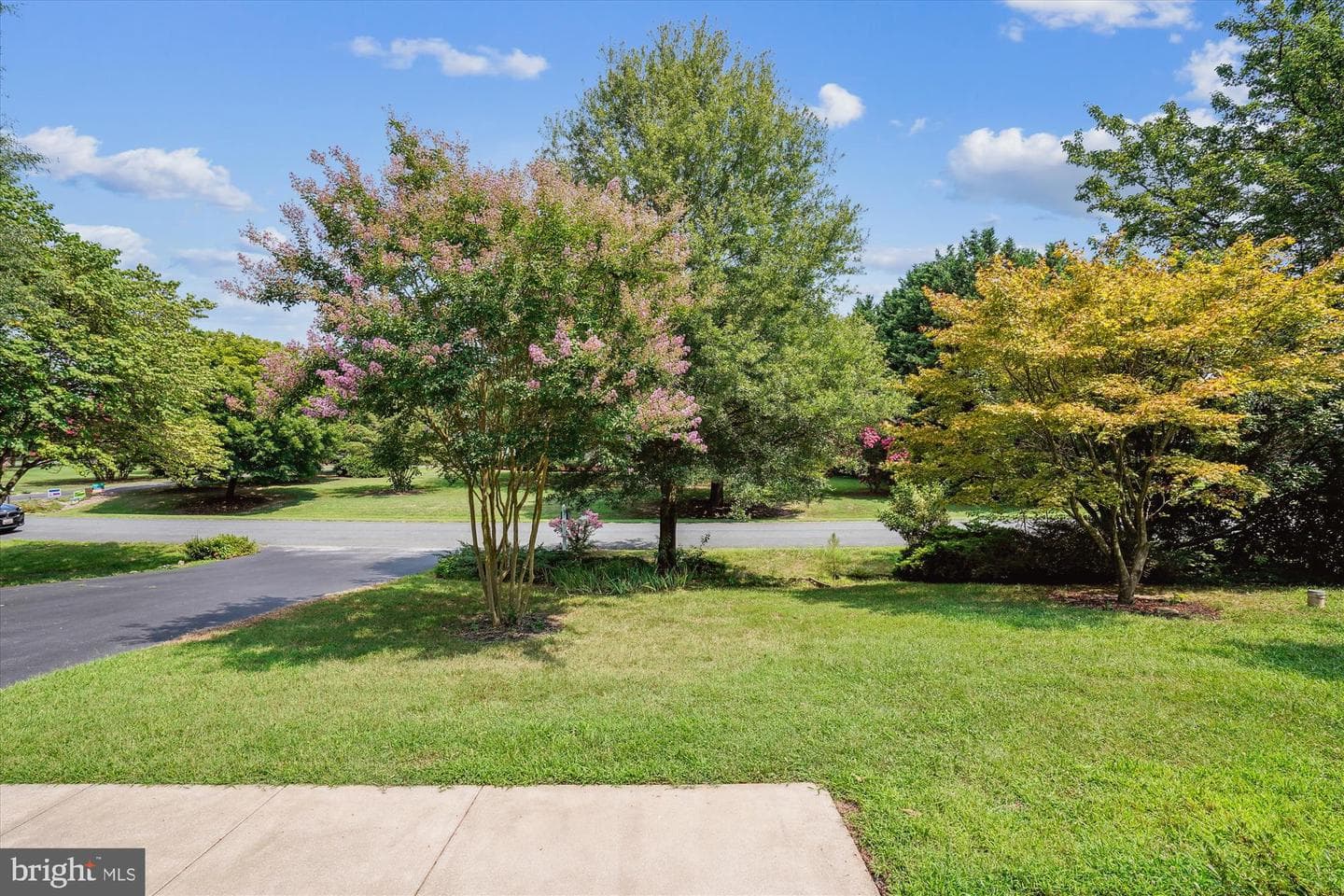 105 Coleman Drive photo 5