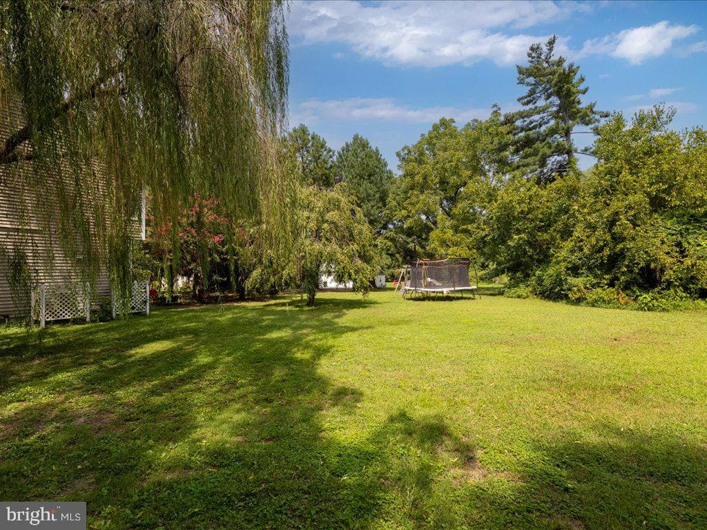 4935 Main Street photo 10
