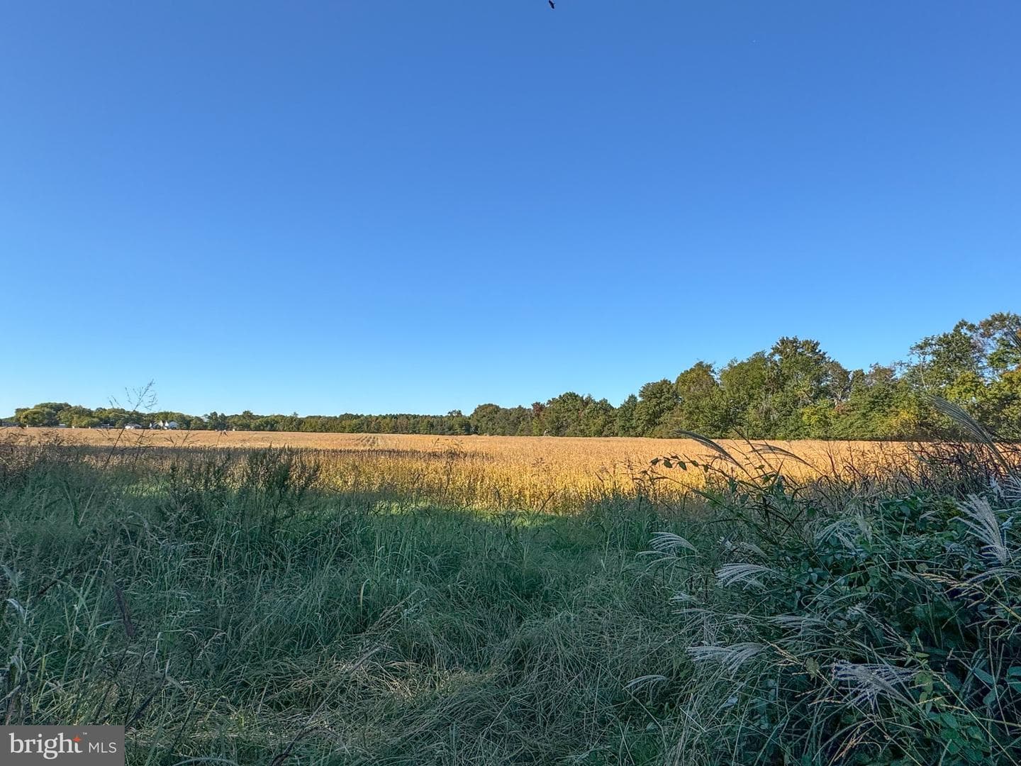 602 Dominion Road photo 34