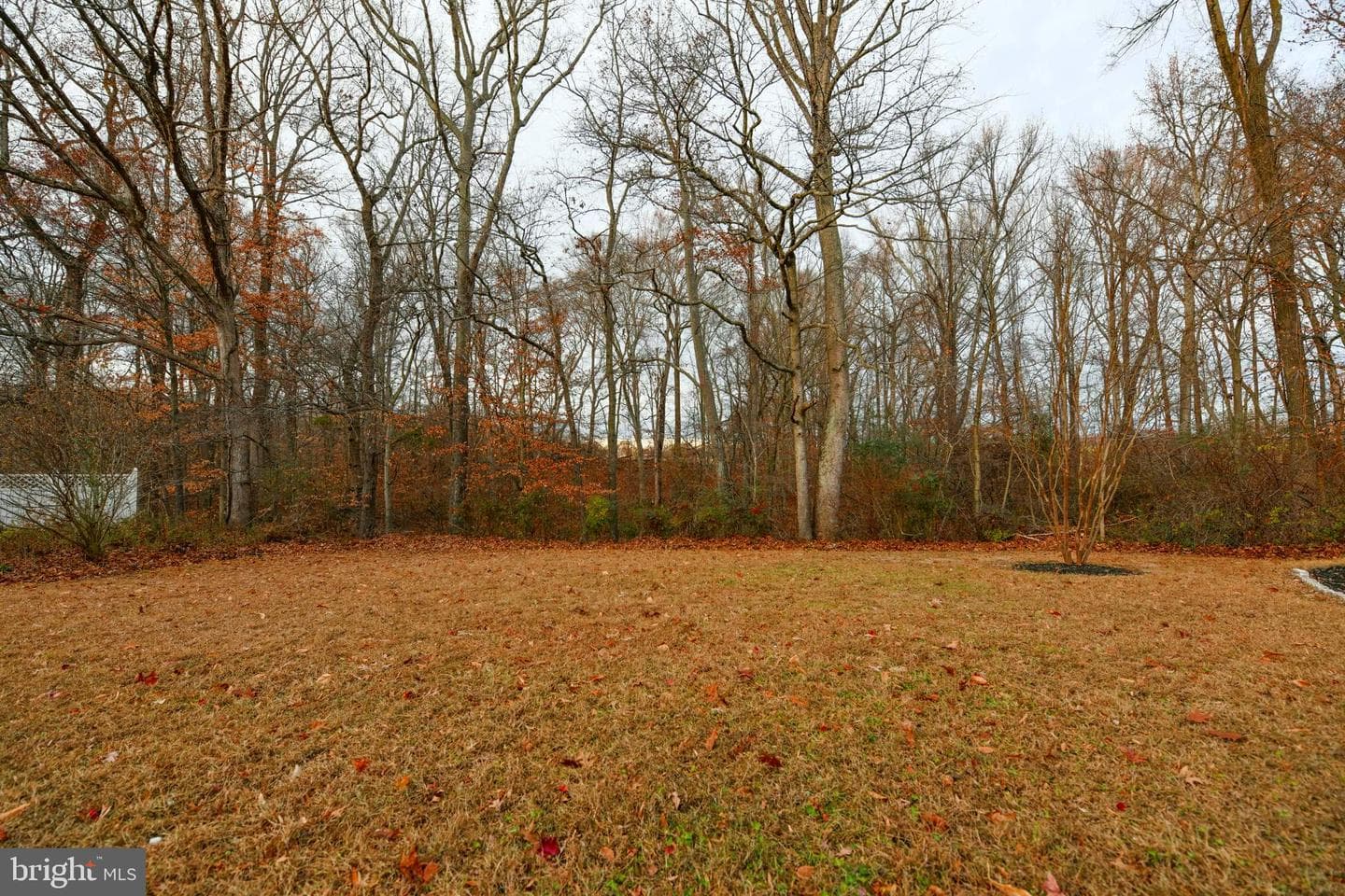 121 Stanford Road photo 36