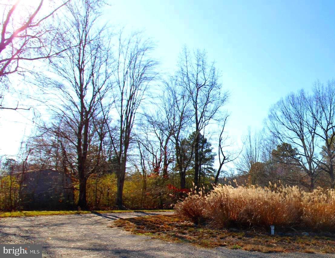 106 Watkins Road photo 28