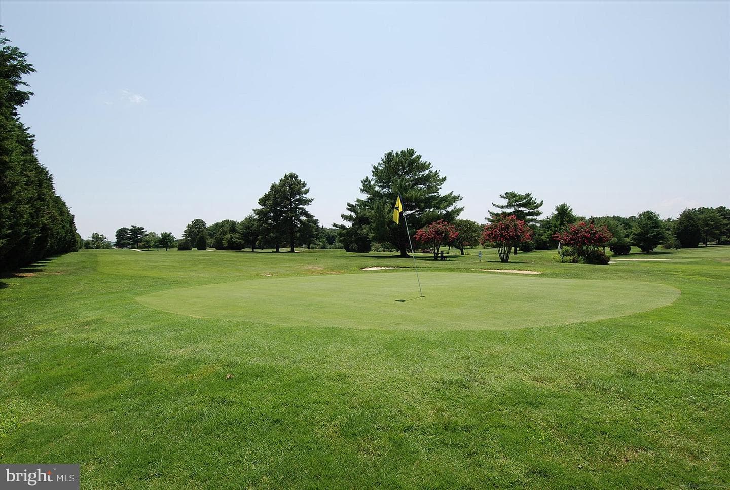 503 Marion Quimby Drive photo 46