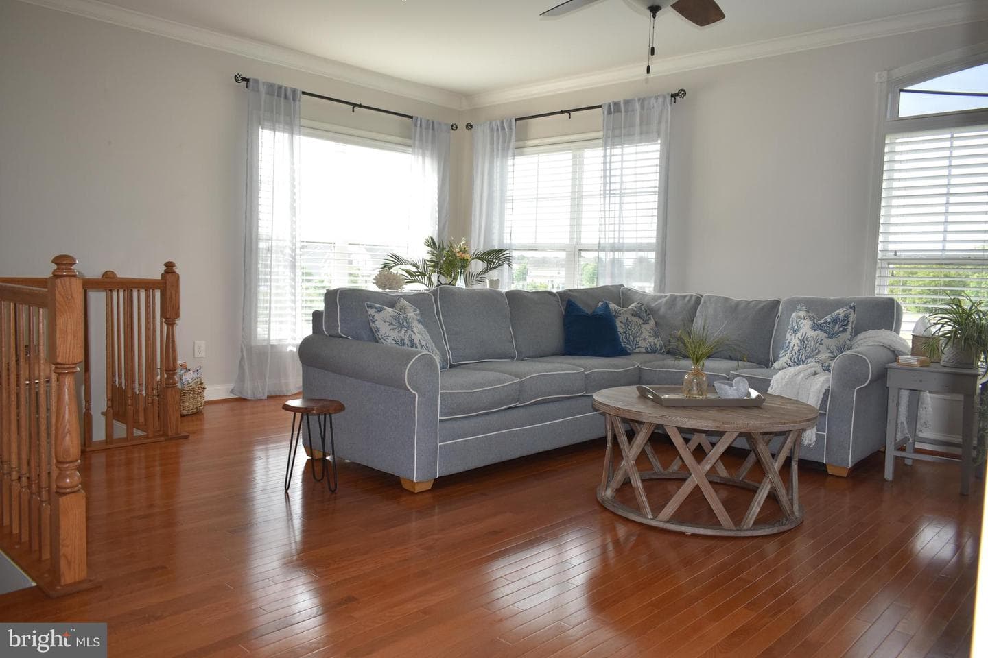 103 Liam Thomas Lane photo 6