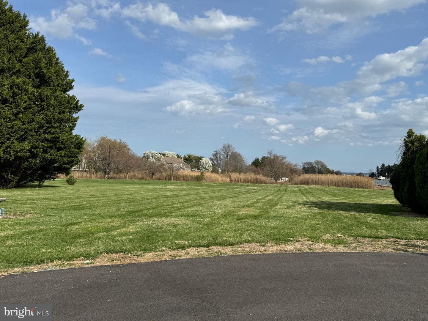 104 Indian Spring Court photo 5