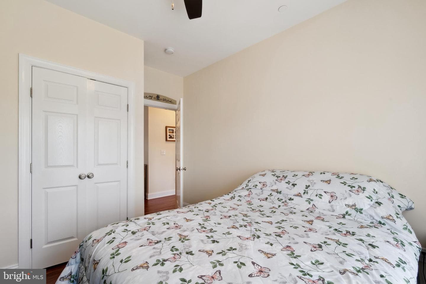 209 Murphy Road photo 17