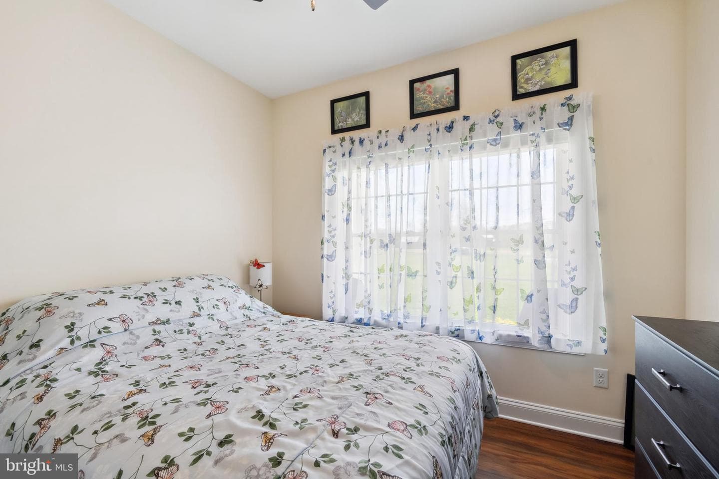 209 Murphy Road photo 18