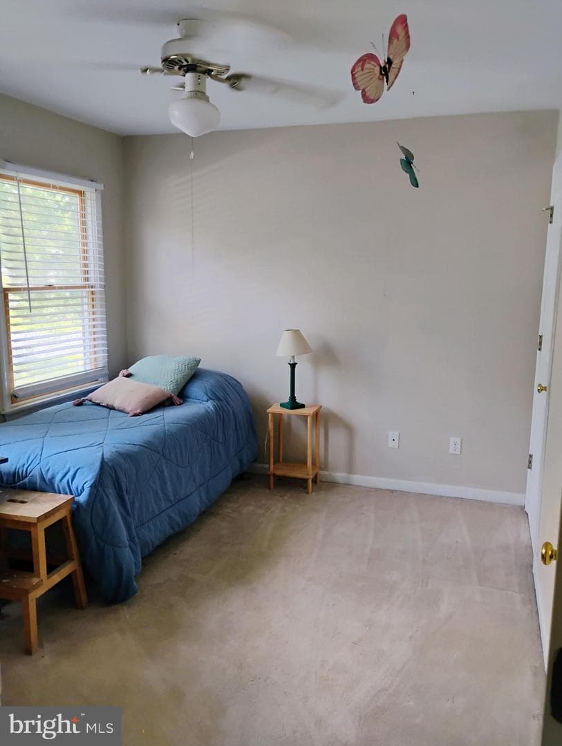 335 Larch Place photo 27