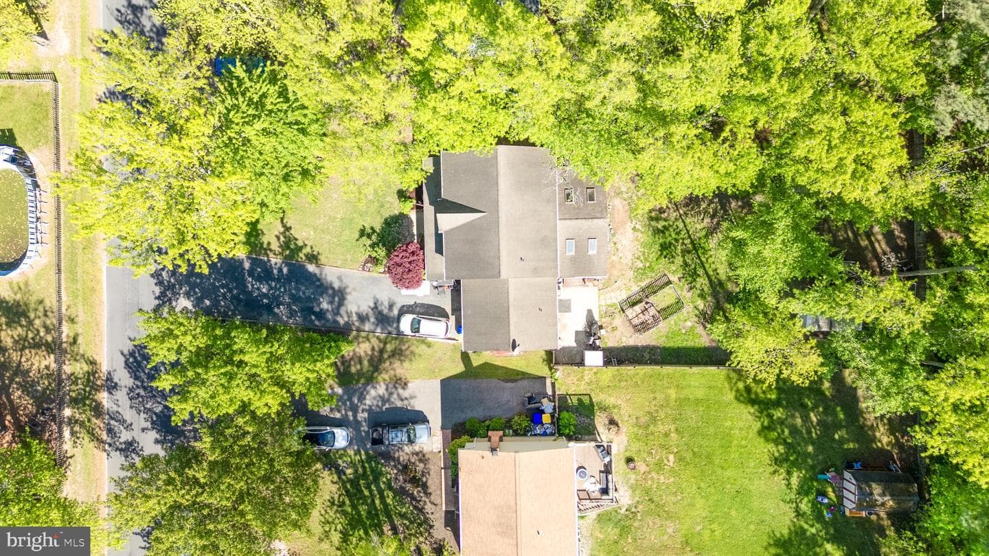 335 Larch Place photo 4