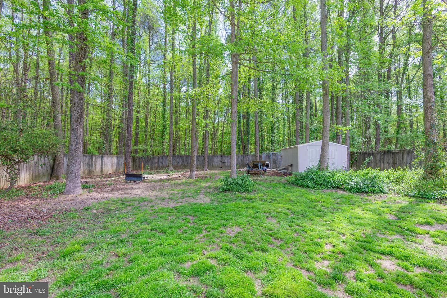 335 Larch Place photo 7