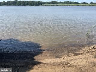 236 Merganser Drive photo 12
