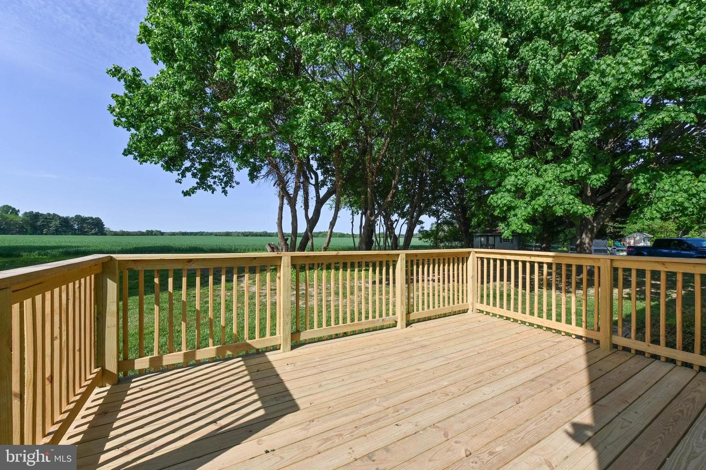 221 Frederick Drive photo 25