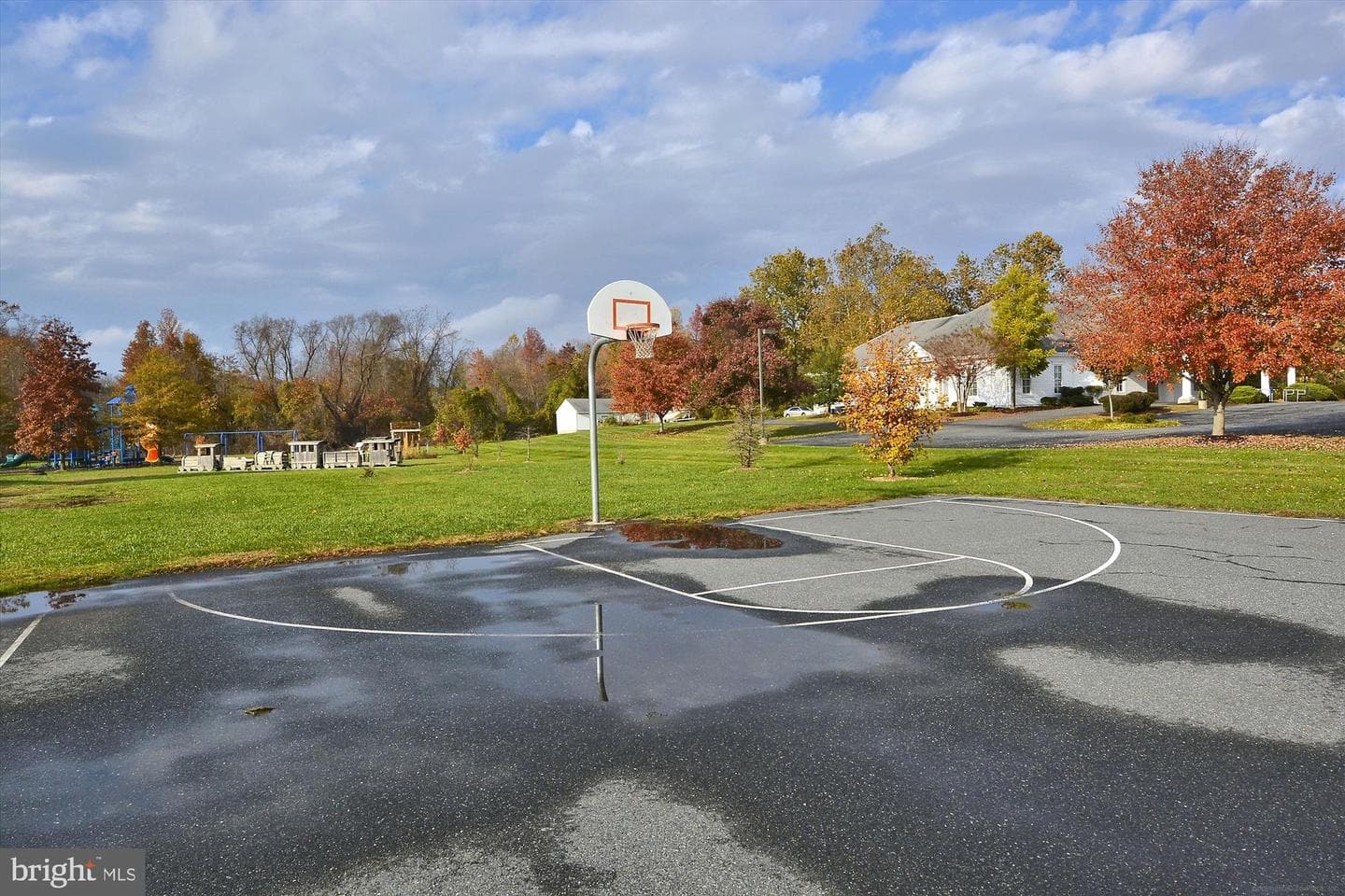 221 Frederick Drive photo 60