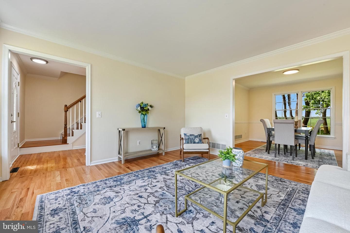 221 Frederick Drive photo 8