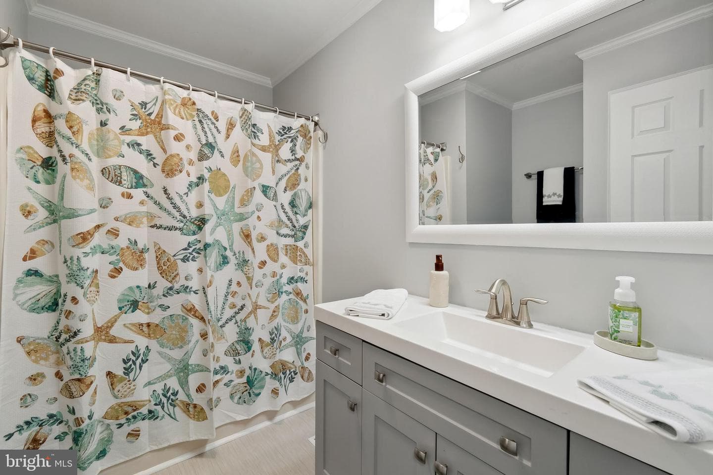 109 Edmore Road photo 9