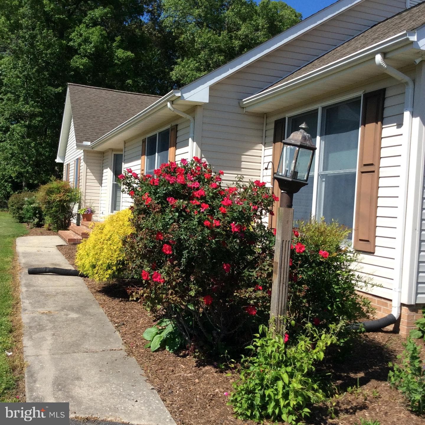 541 Ingleside Road photo 3