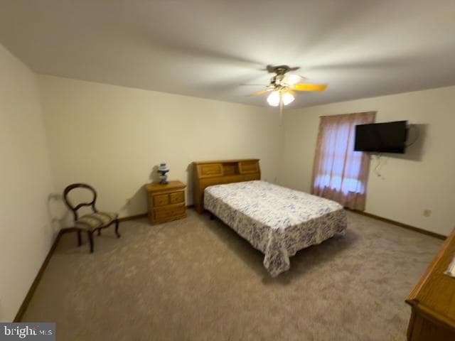 541 Ingleside Road photo 34
