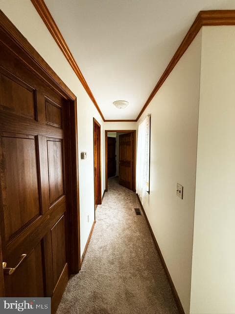 541 Ingleside Road photo 55