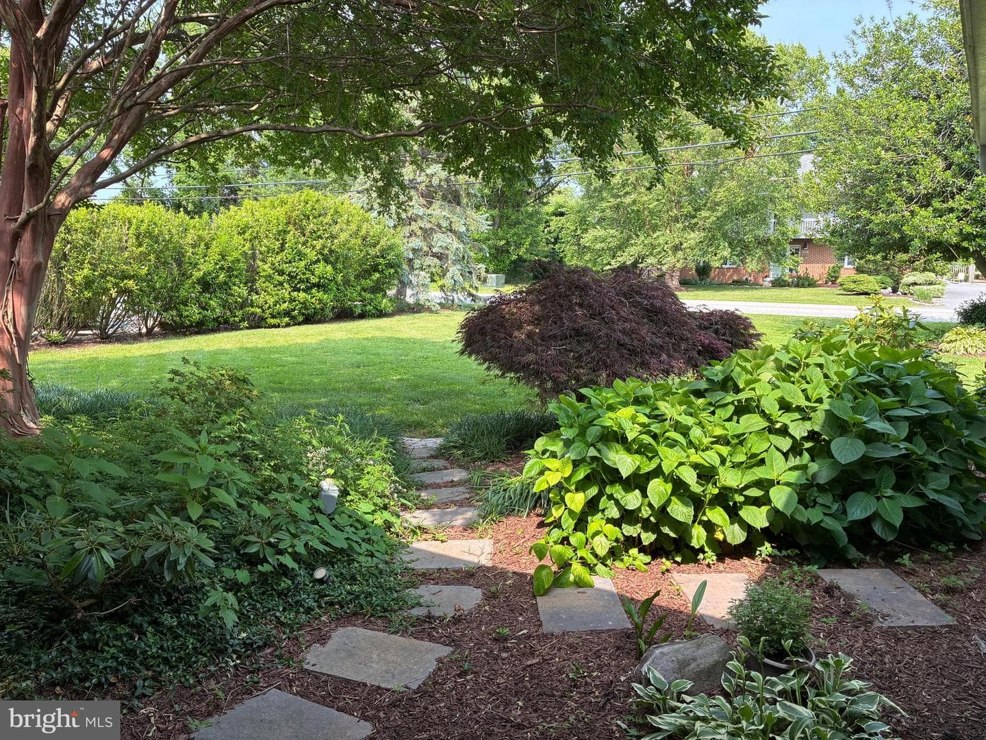 204 Queen Anne Club Drive photo 11