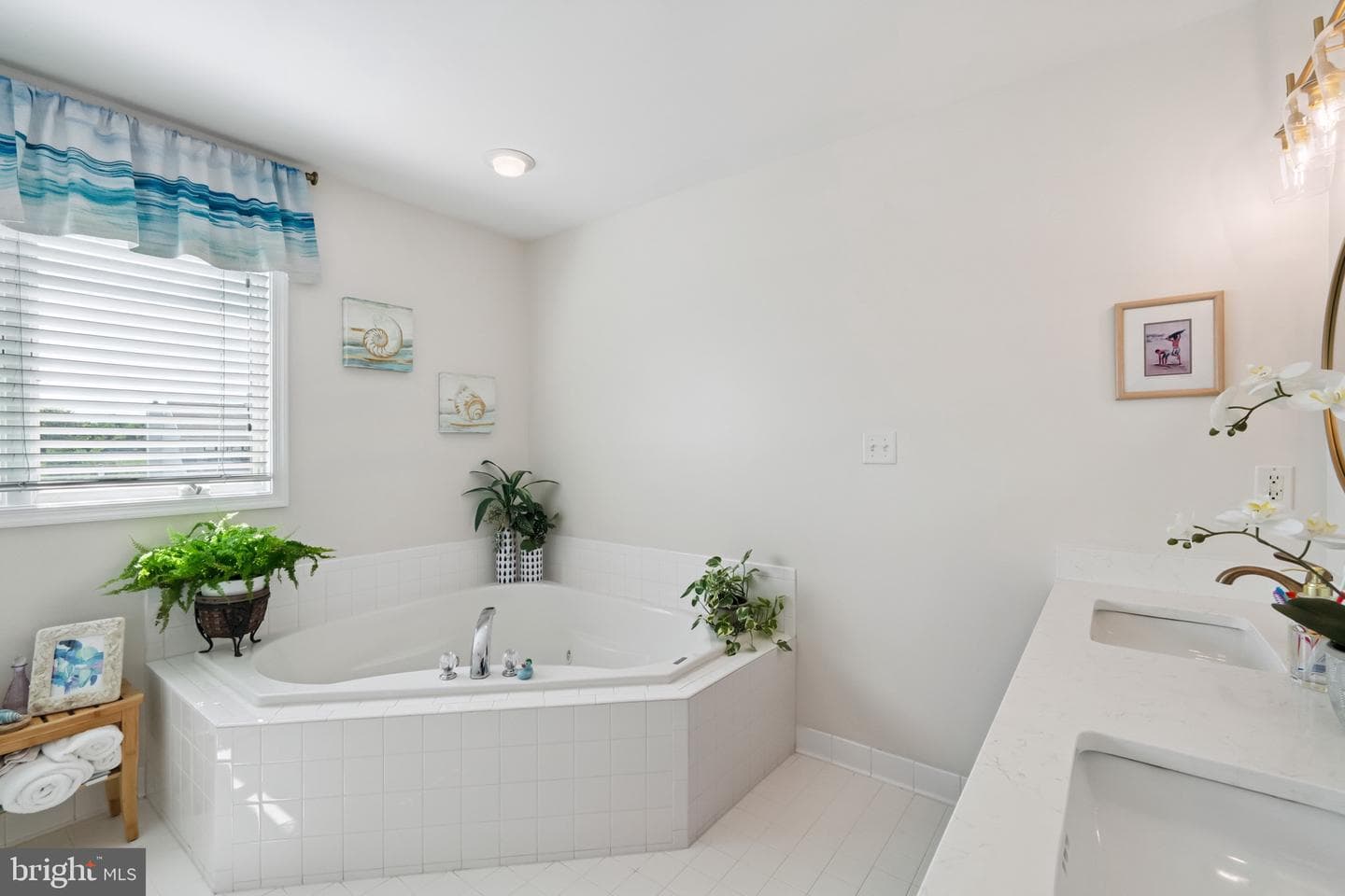 1803 Marion Quimby Drive photo 17