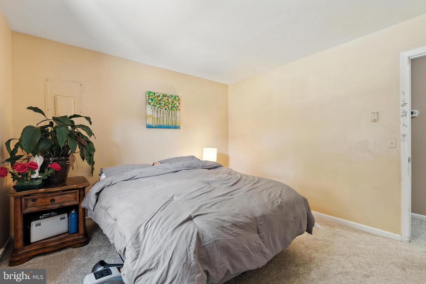 104 Thompson Avenue photo 17