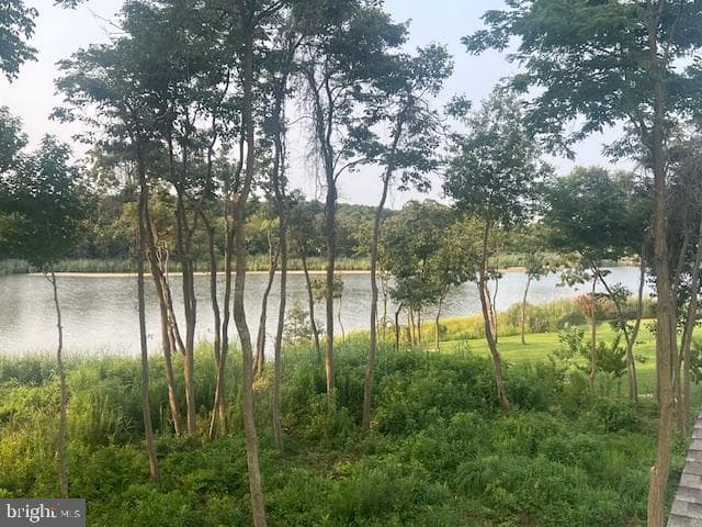 305 N Lake photo 10