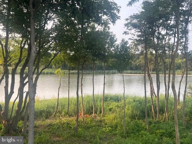 305 N Lake photo 11