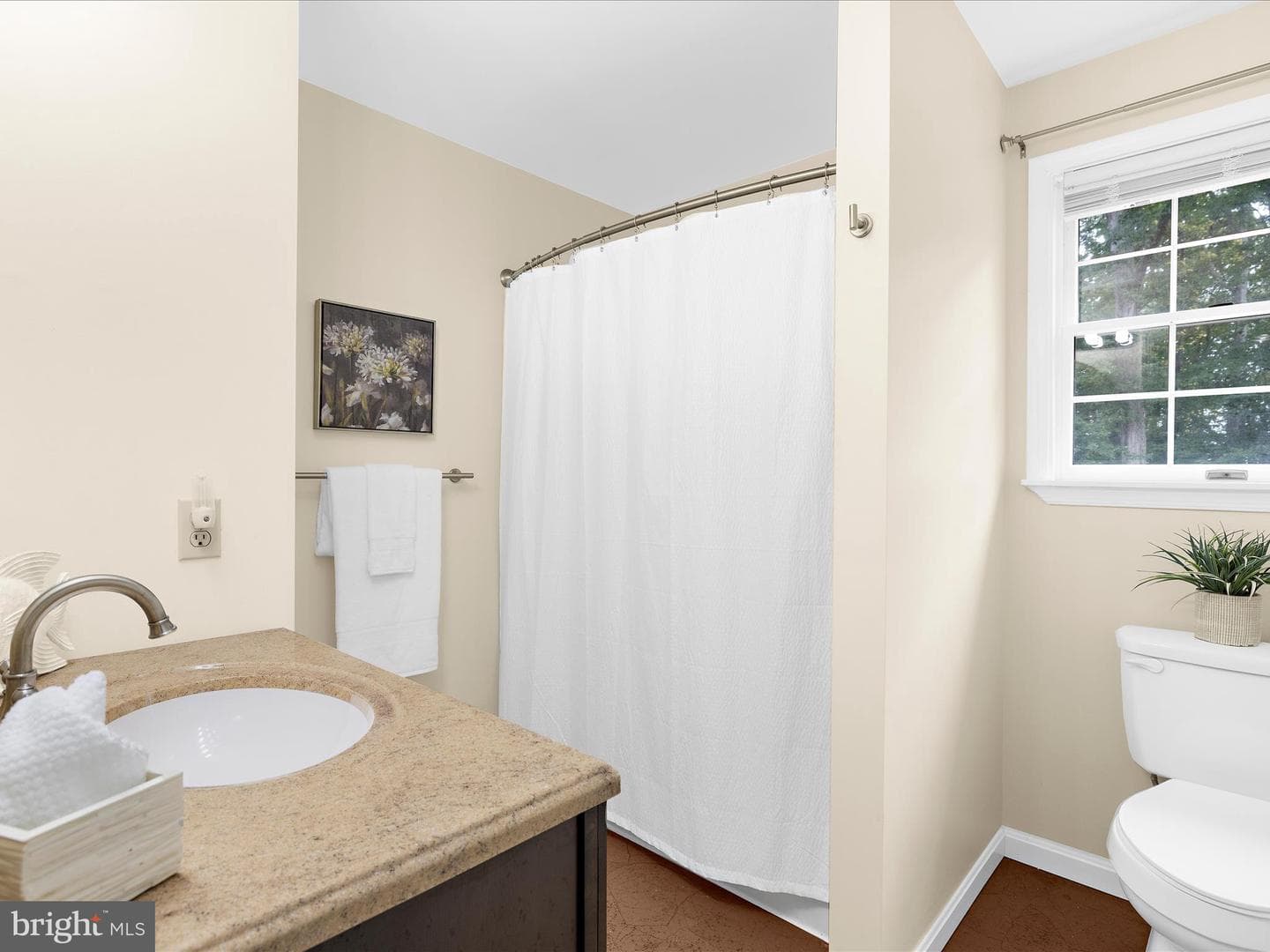 100 Marlborough Road photo 54