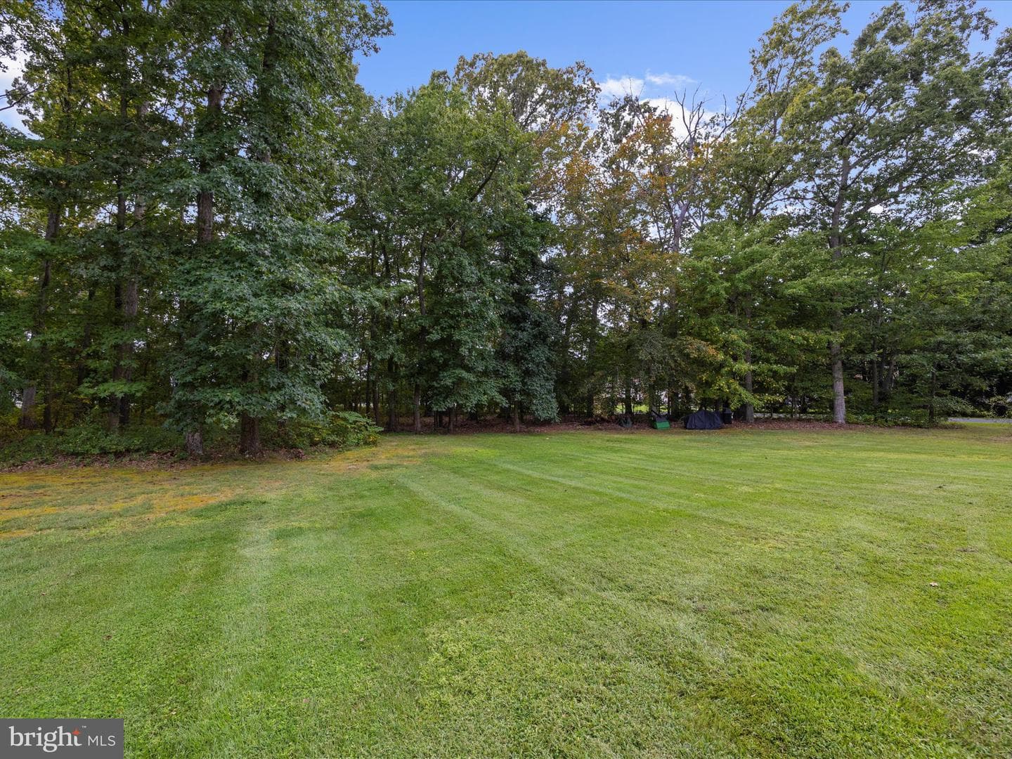 100 Marlborough Road photo 65