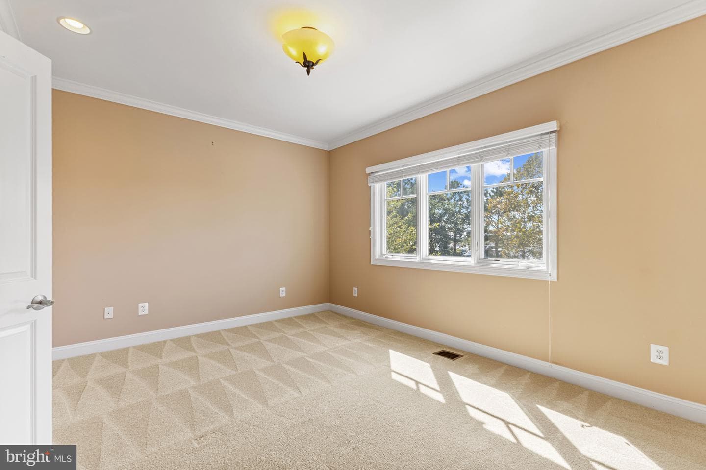 346 Narrows Pointe Drive photo 23