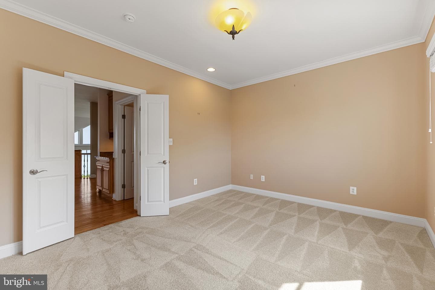 346 Narrows Pointe Drive photo 24