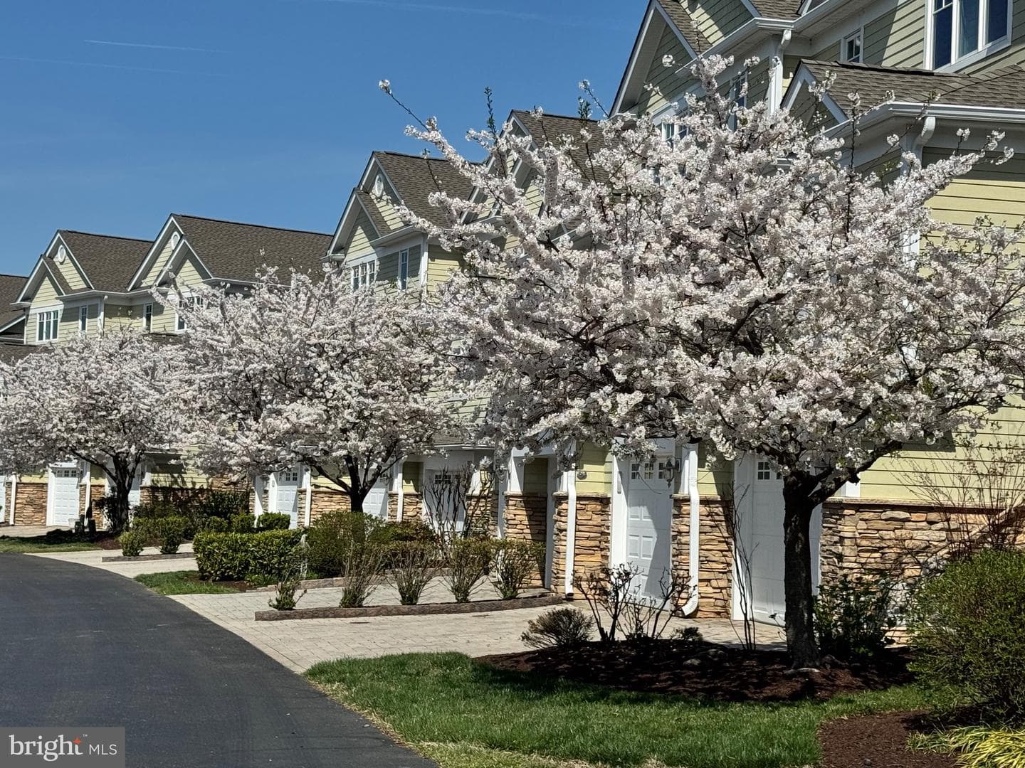 346 Narrows Pointe Drive photo 57