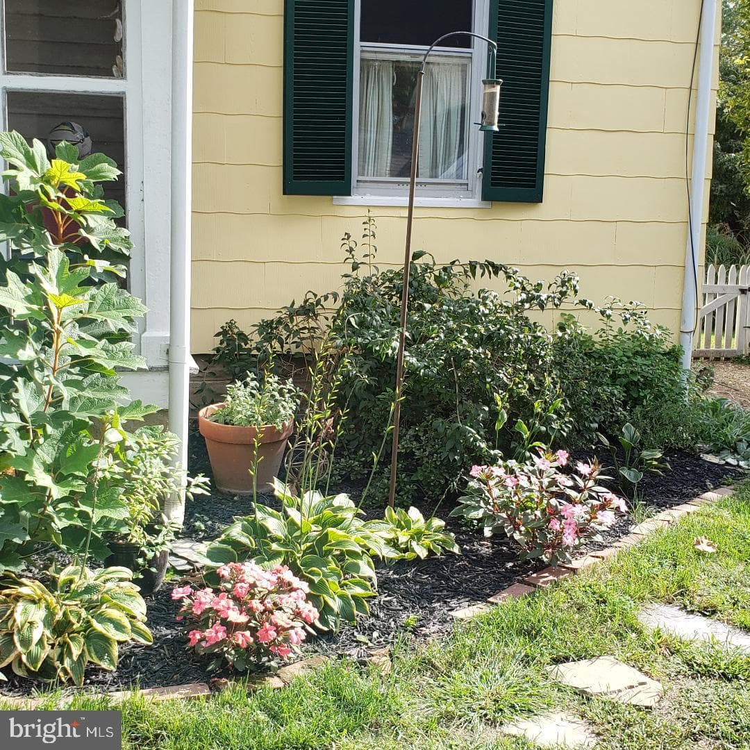 104 Windsor Avenue photo 58