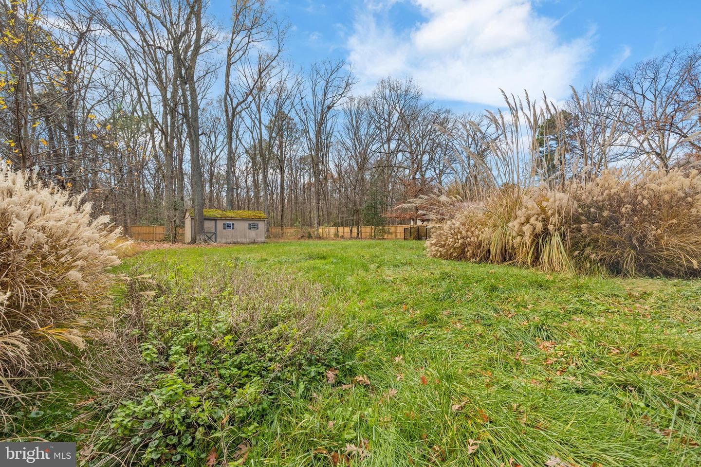 109 Woodmoor Road photo 5