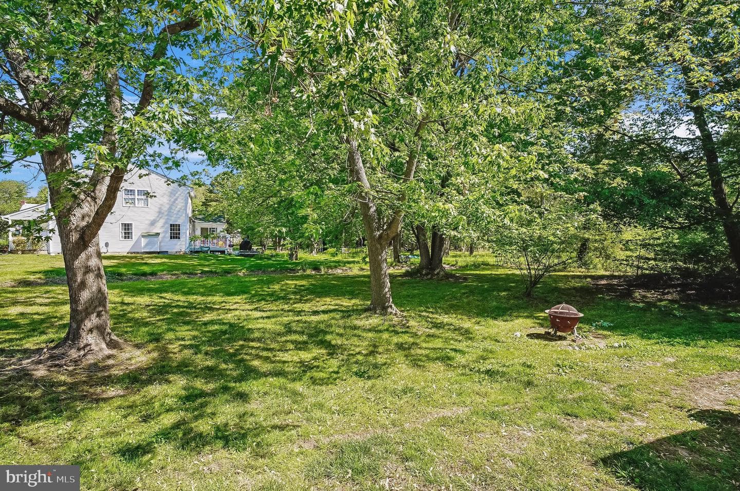 1025 Dundee Ct photo 19