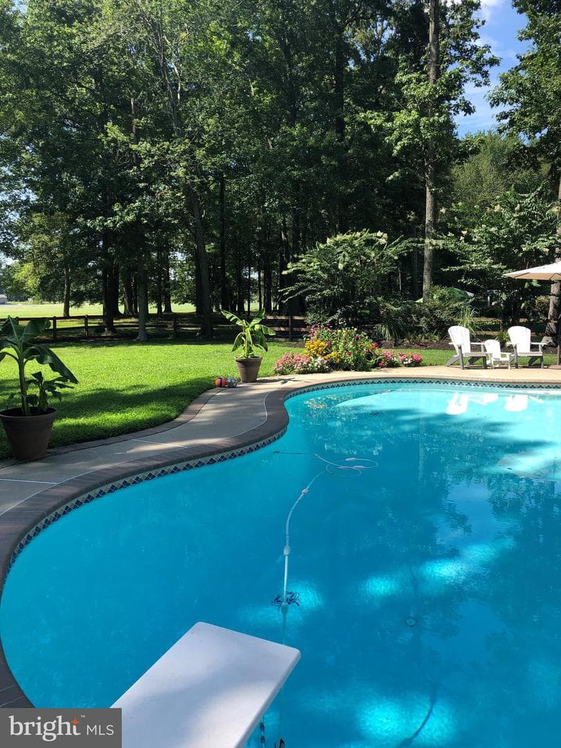 19 Greenwood Shoals photo 42