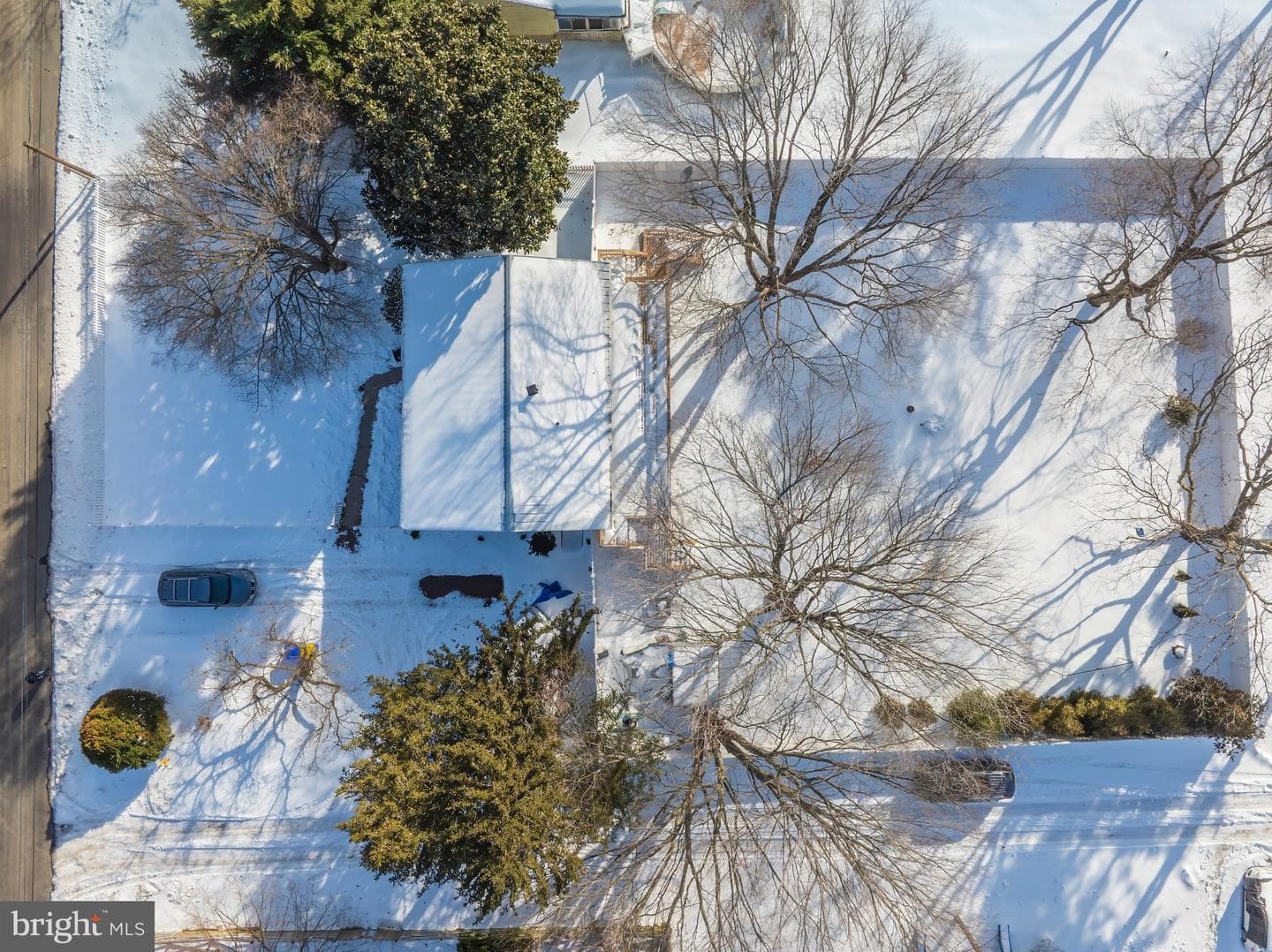 200 Orchid Street photo 19