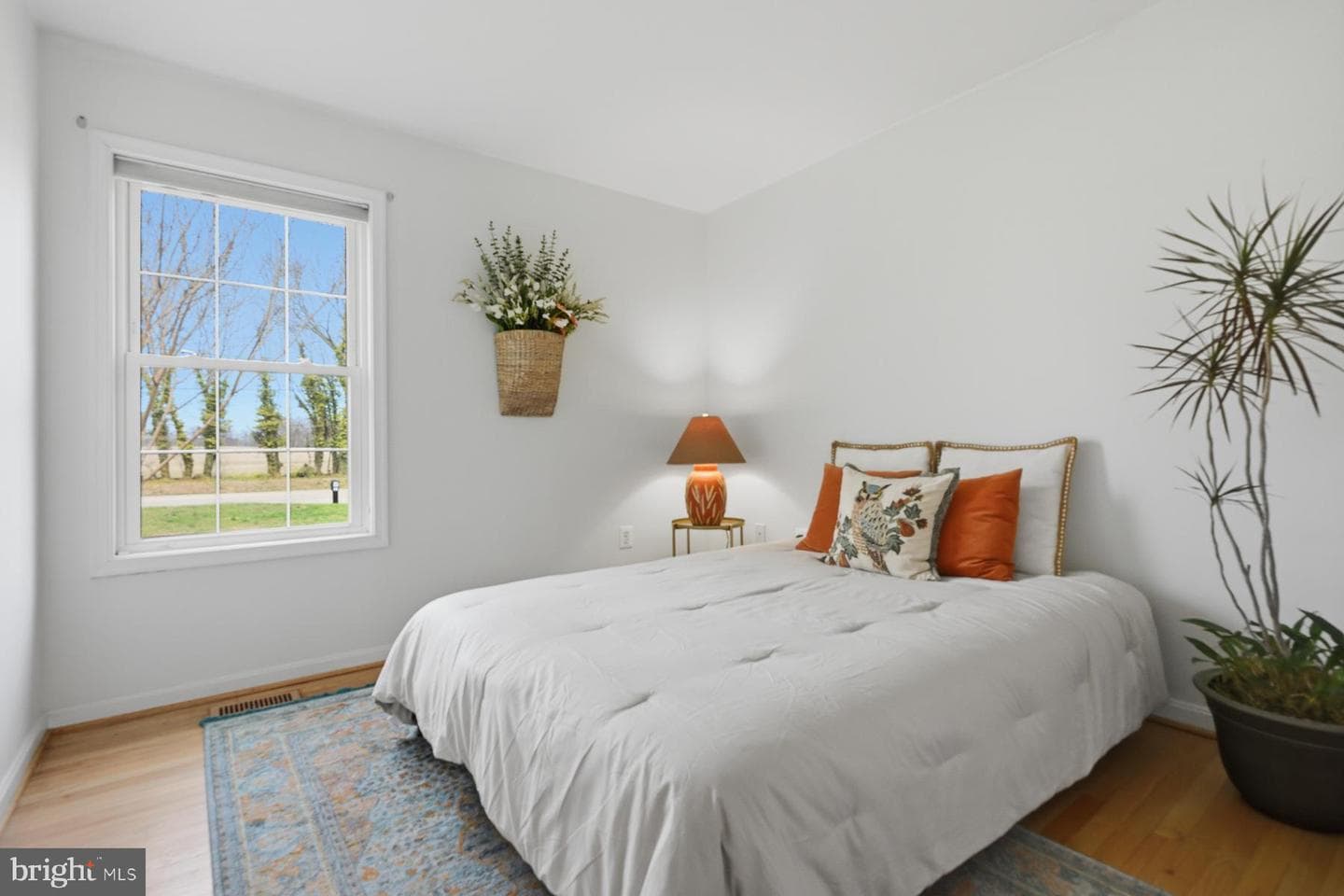 2920 4h Park Road photo 25