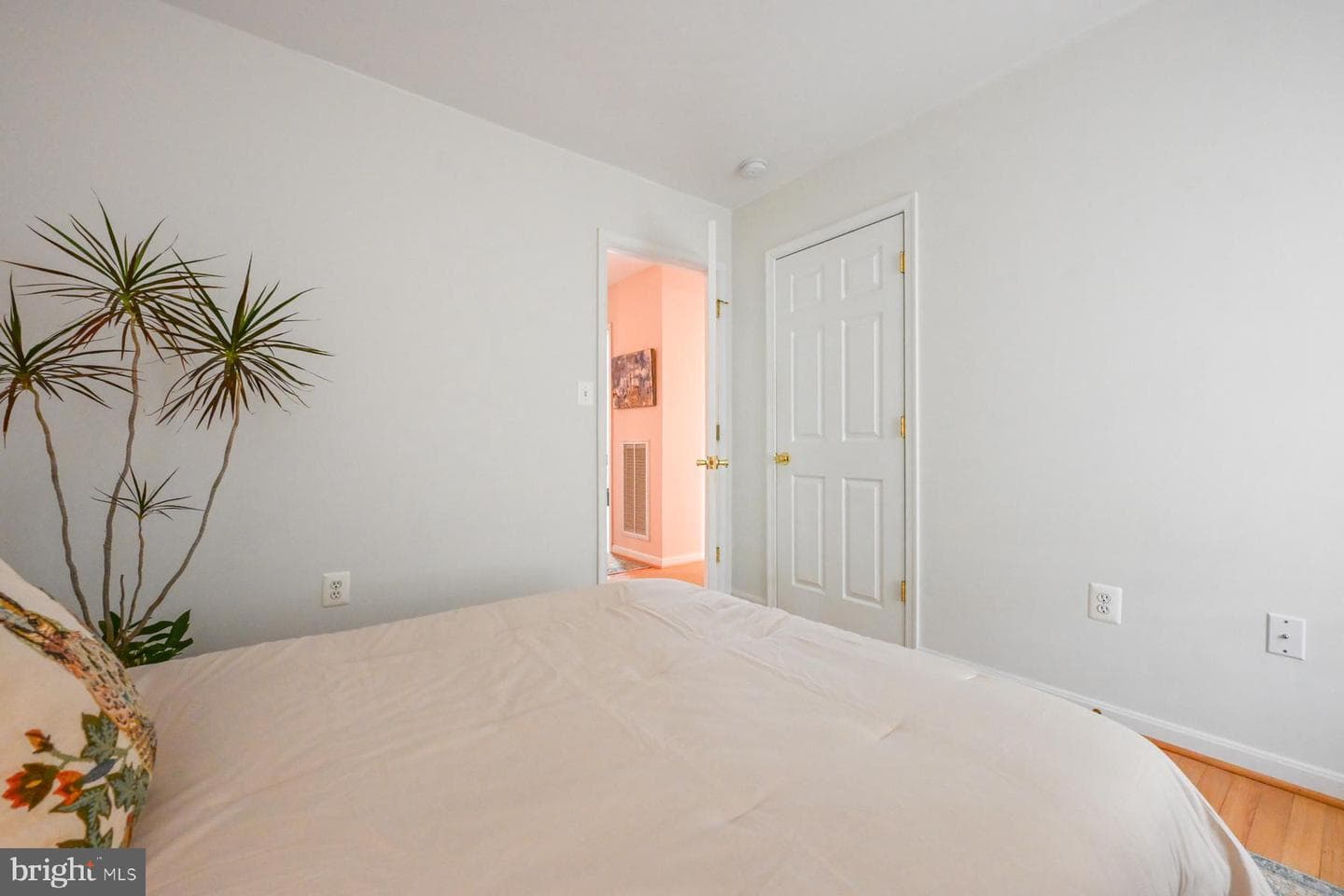 2920 4h Park Road photo 26