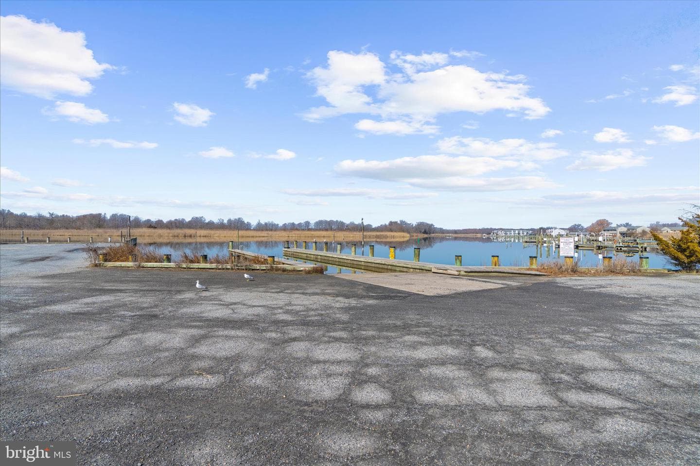 1305 Marion Quimby Drive photo 63