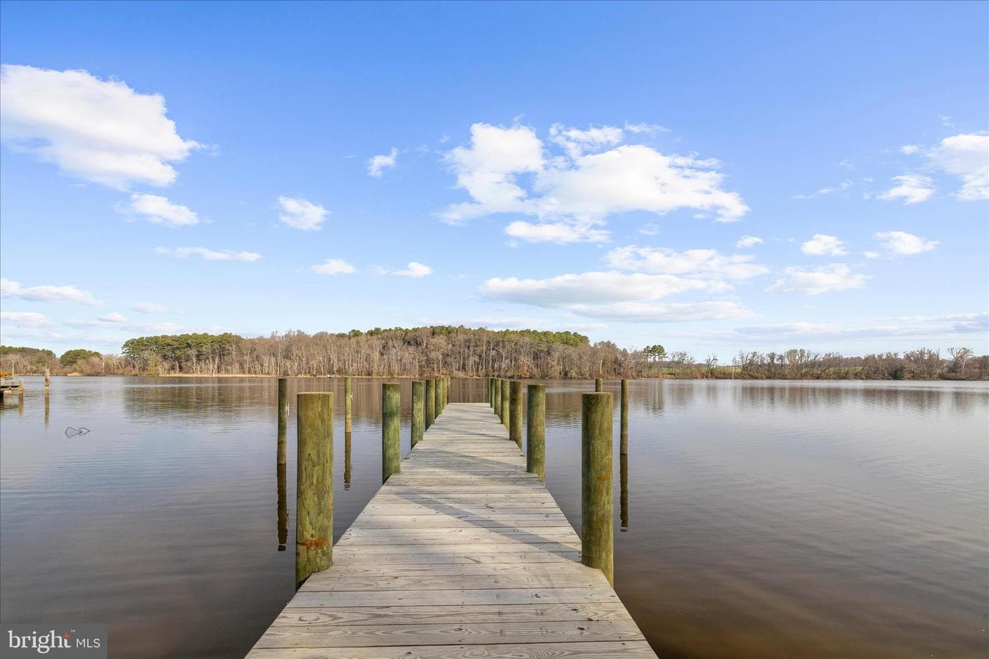 110 Dogwood Court photo 46