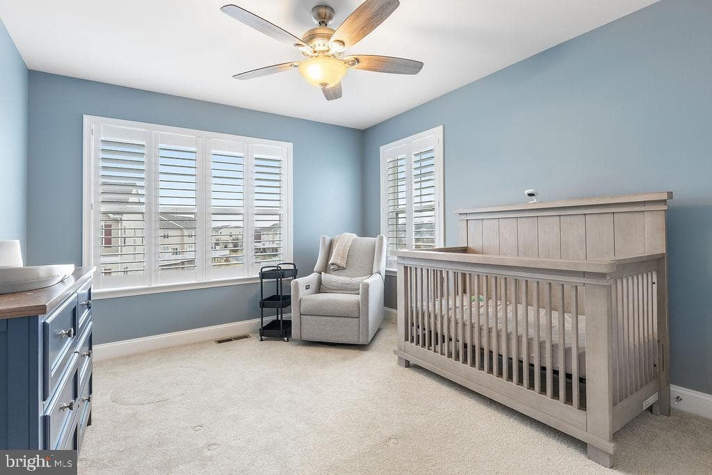 252 Mikes Way photo 40