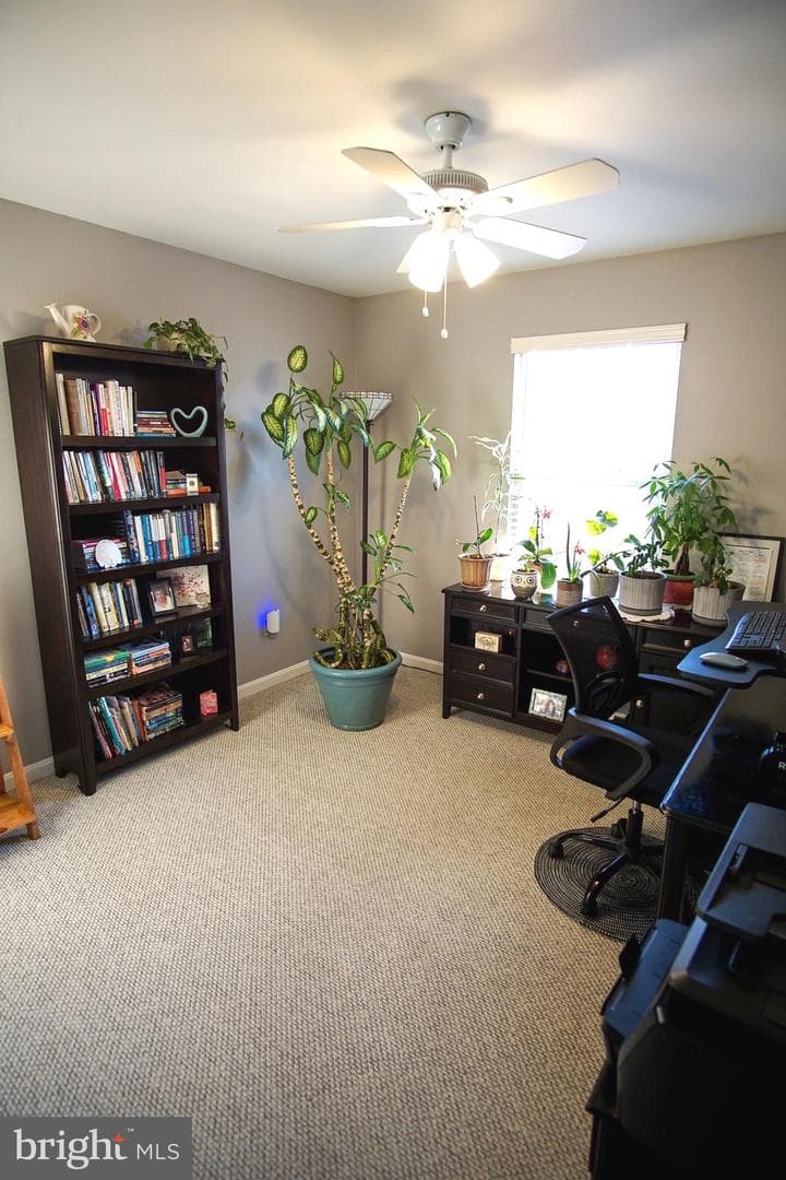 906 Petinot Place photo 25