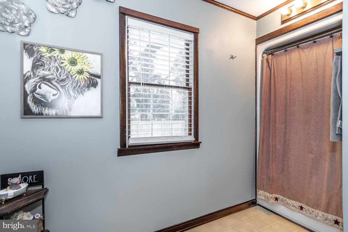 109 Wilton Road photo 17