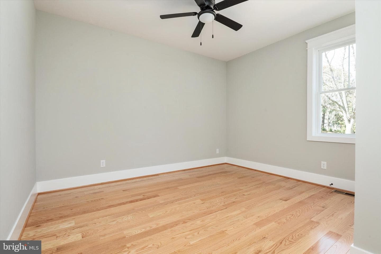 307 Columbia Lane photo 31